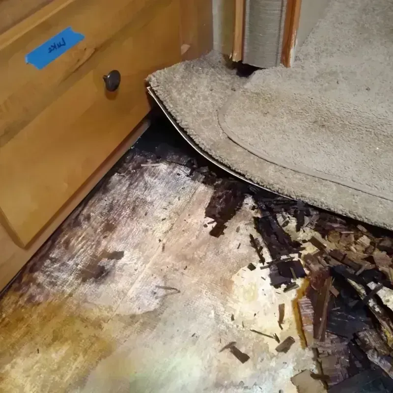 Best Wood Floor Water Damage Service in Ingleside, TX